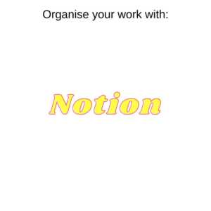 Streamline your work with Notion, supported by a startup coach.